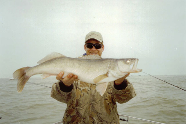 sea breeze charters sea breeze charters